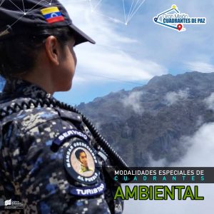 ambiental